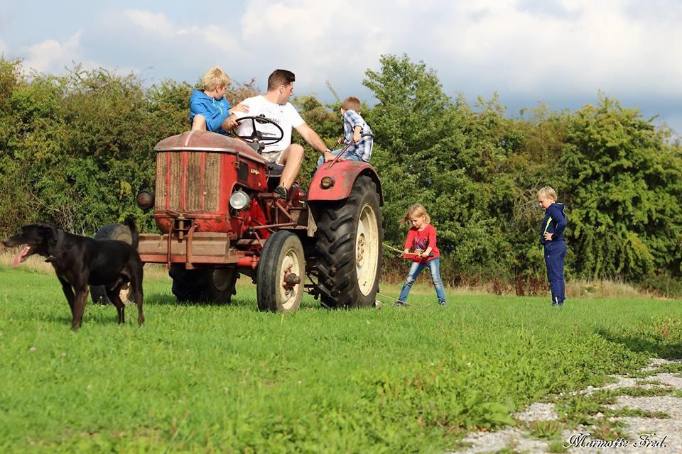 Camping Le Pommier Rustique Hotel Yvoir Luaran gambar